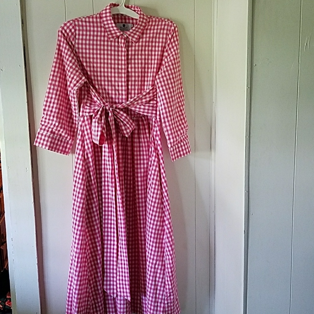 Merry go round dress in rasberry